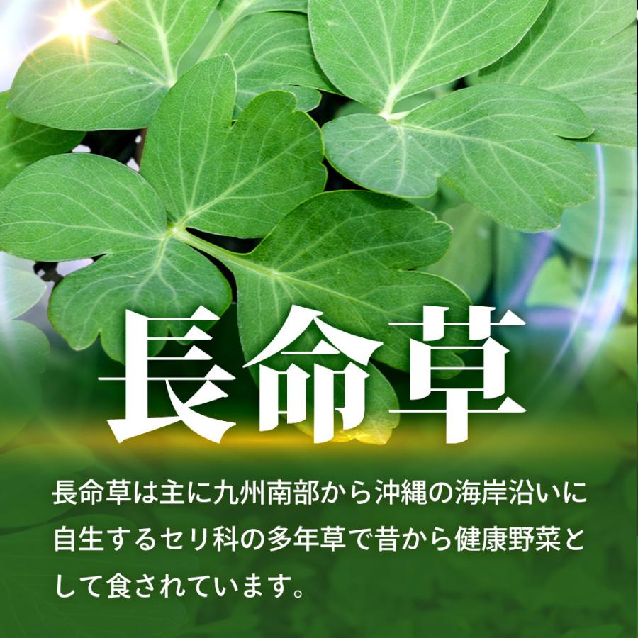 国産長命草 日本山楂萃取物、南瓜籽萃取物/明膠、甘油、蜂蠟、甘油脂肪酸酯、維生素E。