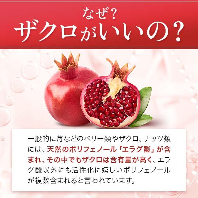 TV話題 石榴萃取物和大豆異黃酮(約 3 個月用量) 補充劑 類黃酮 大豆 石榴異黃酮 補充劑 抗衰老護理 飲食