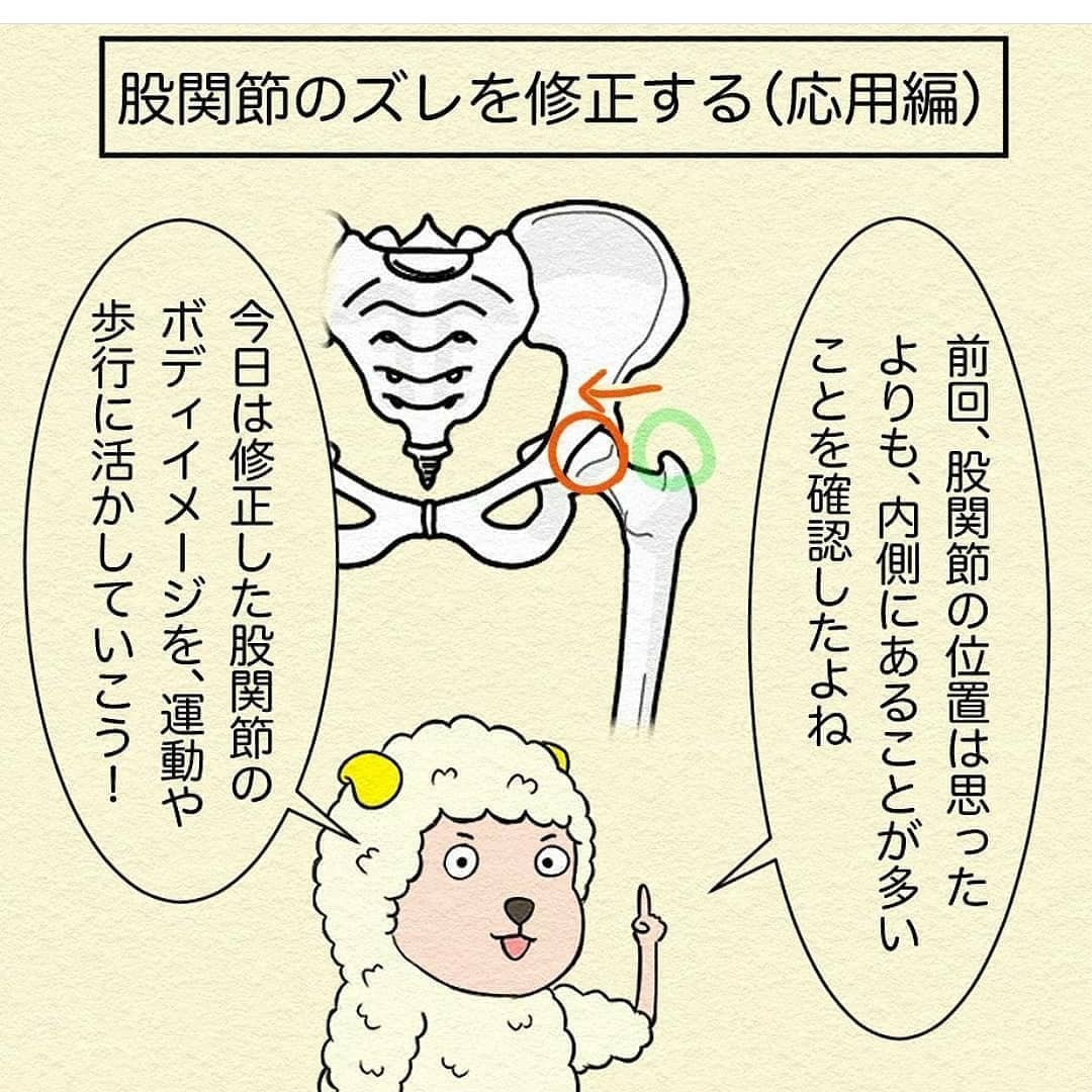 日本腰痛改善帶 訂貨2週