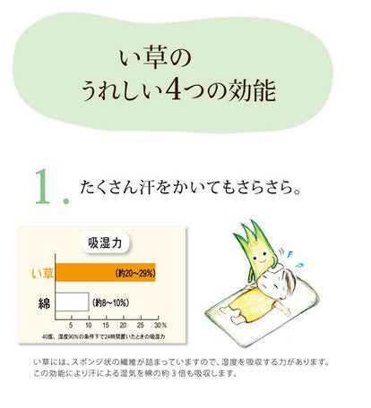 日本製 純國產草墊 - 東京雜貨店 Chocodream_JP