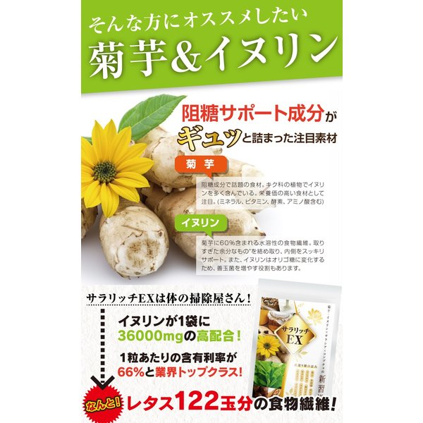 菊芋粉 EX 加強版乳鐵蛋白Salarich EX 180粒多殼Koji黑洋蔥 - 東京雜貨店 Chocodream_JP