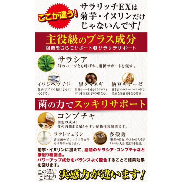 菊芋粉 EX 加強版乳鐵蛋白Salarich EX 180粒多殼Koji黑洋蔥 - 東京雜貨店 Chocodream_JP