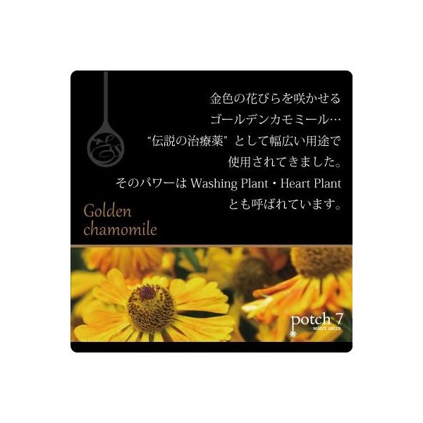 日本🇯🇵POLA aroma ess gold 洗頭水 - 東京雜貨店 Chocodream_JP