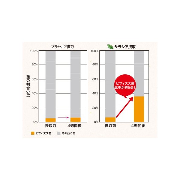 Meta 減肥片 EX 120片 - 東京雜貨店 Chocodream_JP