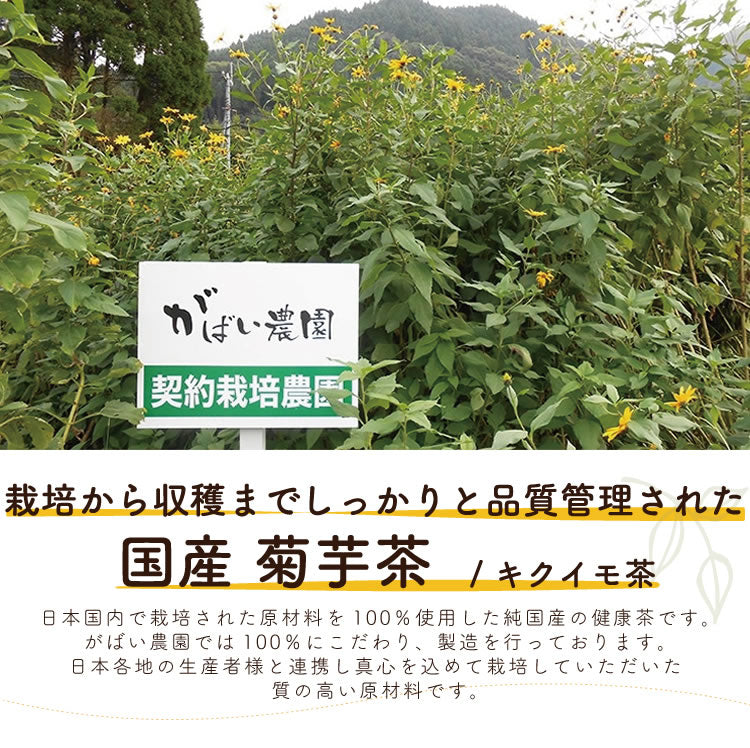 日本菊芋 之粒 180粒 (一包一個月份) - 東京雜貨店 Chocodream_JP