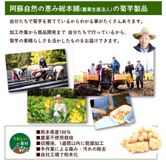 日本菊芋 之粒 180粒 (一包一個月份) - 東京雜貨店 Chocodream_JP