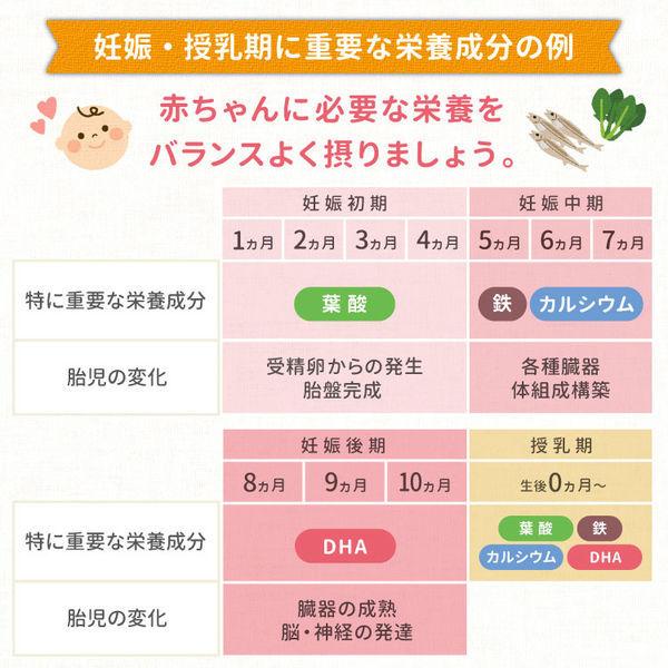 森永 お母さんの栄養補助食品 ママのDHA (90粒入) 1セット(2個) 森永乳業 サプリメント 訂購14-18天