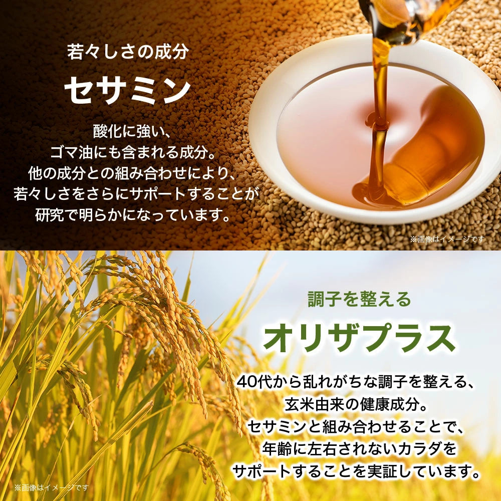 芝麻明EX 保證日本直送 SUNTORY 保證日本公式版 三得利官方 Sesamin EX Sesame Oryza Plus 芝麻素維生素 E 補充劑補充品 90 粒/約 30 天