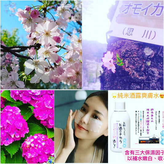 純米大吟釀酒露保濕爽膚水收縮毛孔補水皙白化妝水 新版