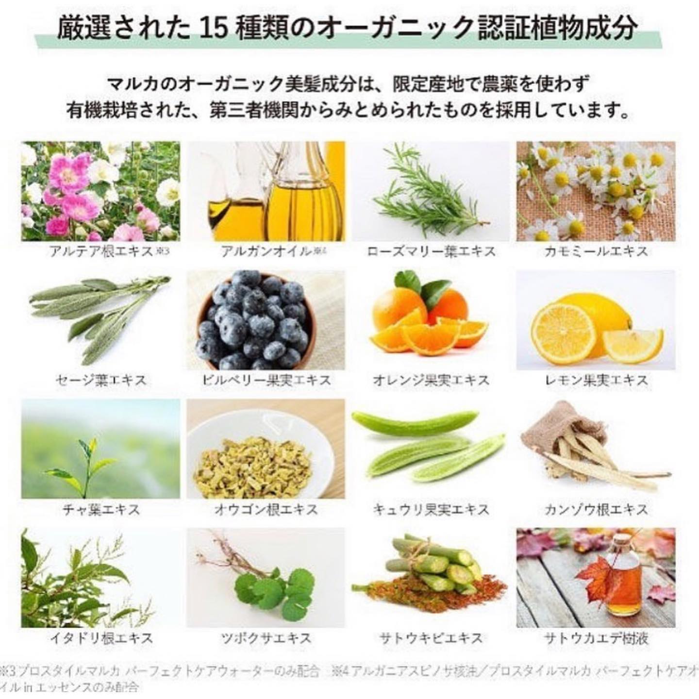 Pro Style Malca💆🏻‍♀️ 完美護理柔滑水 [免盪傷頭髮精華水]