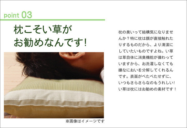 国産(九州産)のしなやかなイ草使用枕頭 只限門市取或順豐到付 - 東京雜貨店 Chocodream_JP