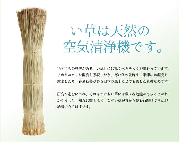 国産(九州産)のしなやかなイ草使用枕頭 只限門市取或順豐到付 - 東京雜貨店 Chocodream_JP