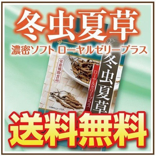 冬虫夏草濃密 31日分 日本製 - 東京雜貨店 Chocodream_JP