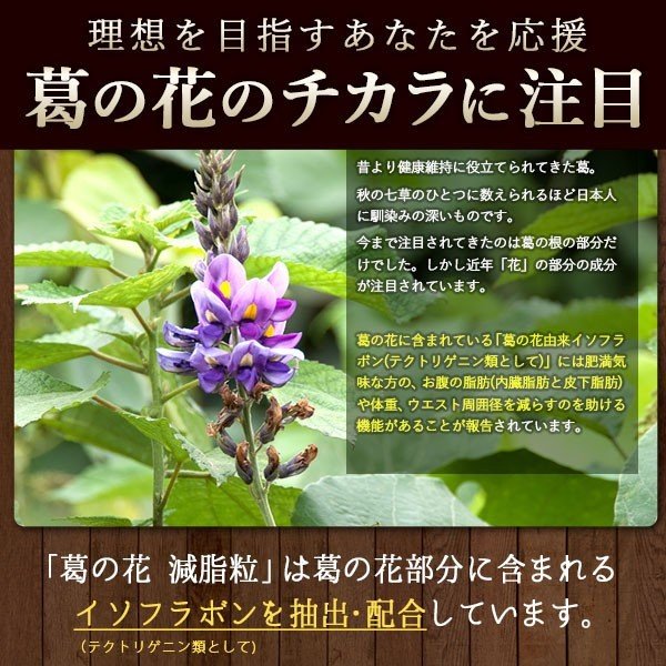 葛根花減脂粒 内臓脂肪減 機能性食品 DMJ 認證 - 東京雜貨店 Chocodream_JP