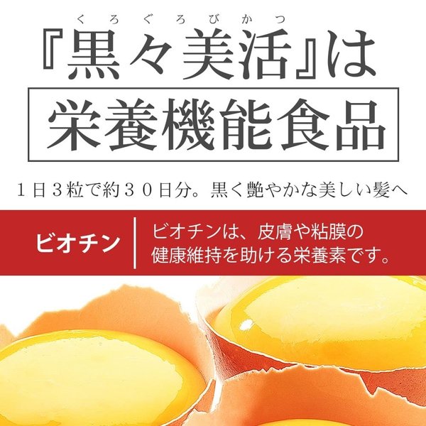 Akkyo鋅銅黑Biseki 90片 - 東京雜貨店 Chocodream_JP